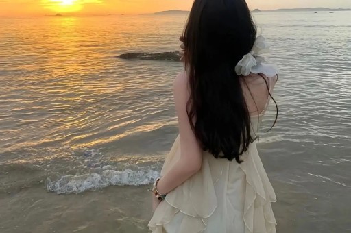 明码标价的婚姻：泽尻英龙华自毁前程之路